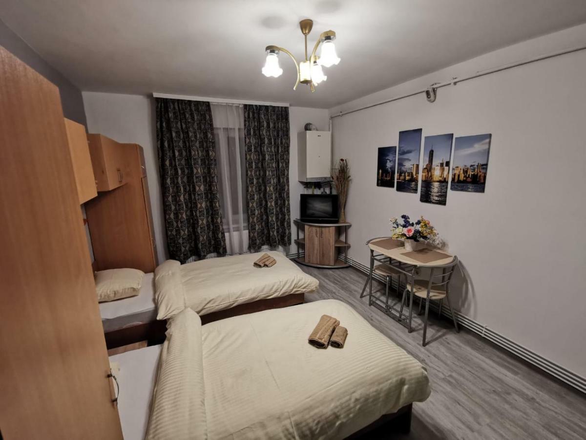 Central Studio Hunedoara Bagian luar foto