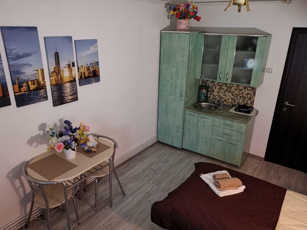 Central Studio Hunedoara Bagian luar foto